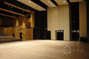 DSC00223 концертные залы Съёмки Москва