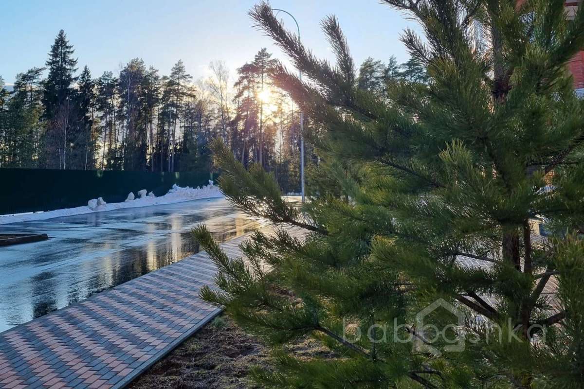 20220326_174930 квартиры 