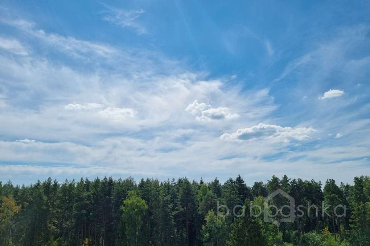 20220813_121735 квартиры 