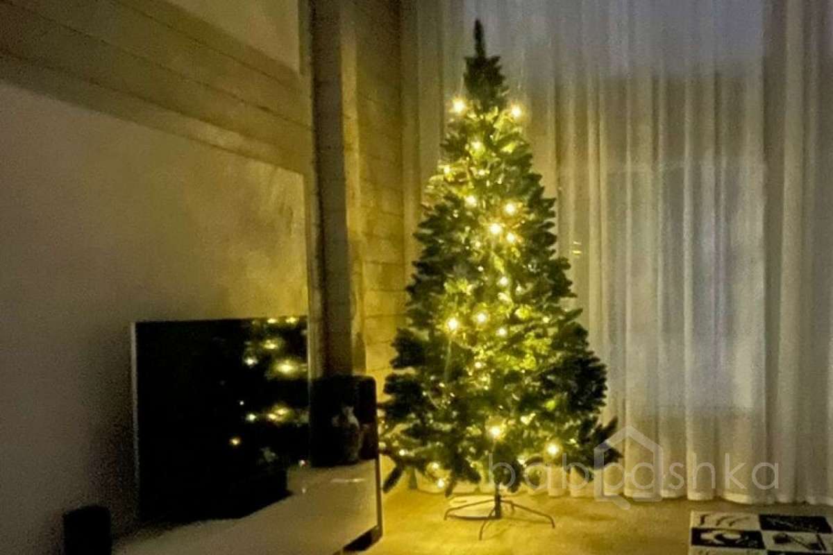 e84bd69-4a15-45ac-8245-f2bb62568fef дома 