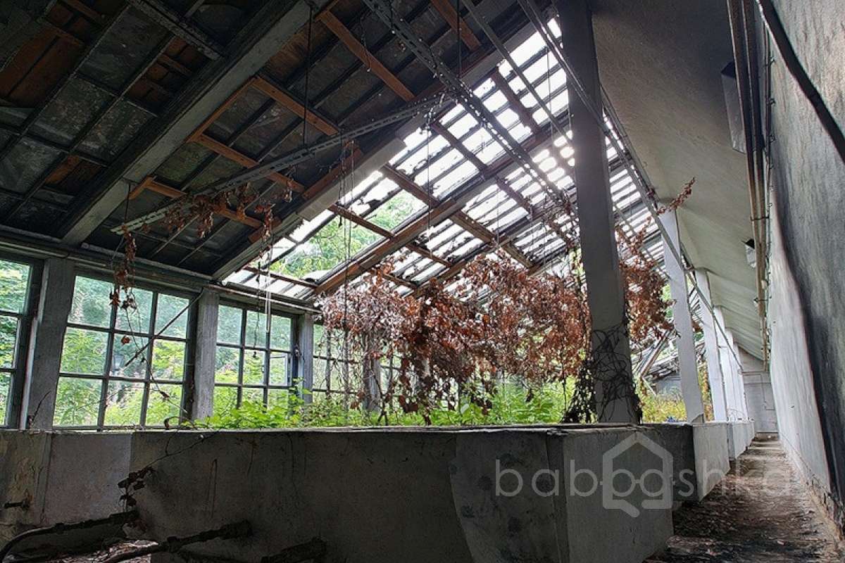 0_71577_f72efabc_XL. дворцы и усадьбы 