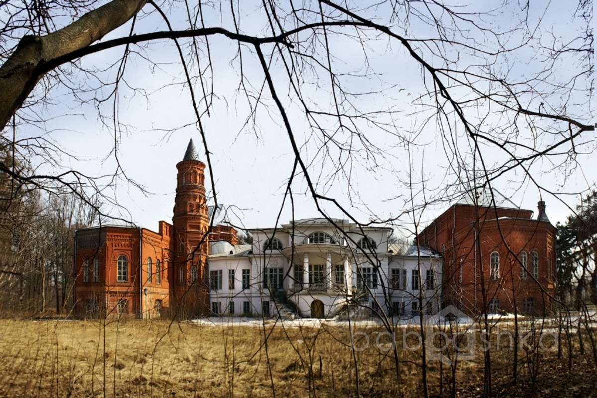 3168939_large. дворцы и усадьбы 