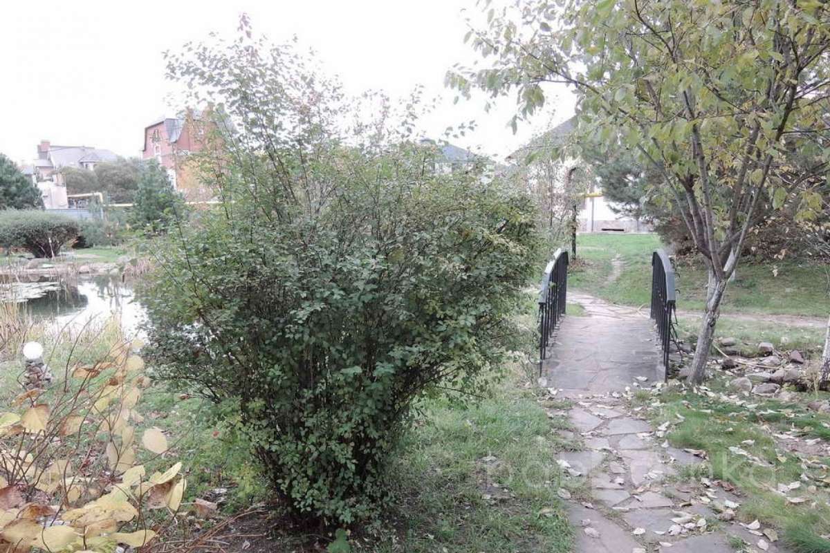 %D0%91%D0%BE%D0%BB%D1%88%D0%B5%D0%B2%D0%BE%20(%D0%93%D1%80%D1%83%D0%B7%D0%B8%D0%BD%D0%BE%D0%B2%D1%8B)_15 дома 