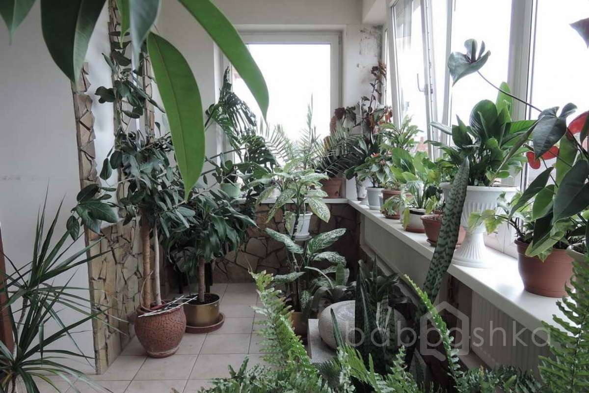 %D0%91%D0%BE%D0%BB%D1%88%D0%B5%D0%B2%D0%BE%20(%D0%93%D1%80%D1%83%D0%B7%D0%B8%D0%BD%D0%BE%D0%B2%D1%8B)_120 дома 