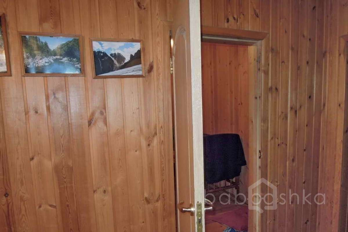 %D0%91%D0%BE%D0%BB%D1%88%D0%B5%D0%B2%D0%BE%20(%D0%90%D0%BB%D0%B5%D0%BA%D1%81%D0%B0%D0%BD%D0%B4%D1%80%20%D0%9F%D0%B0%D0%B2%D0%BB%D0%BE%D0%B2%D0%B8%D1%87)_38 дома 