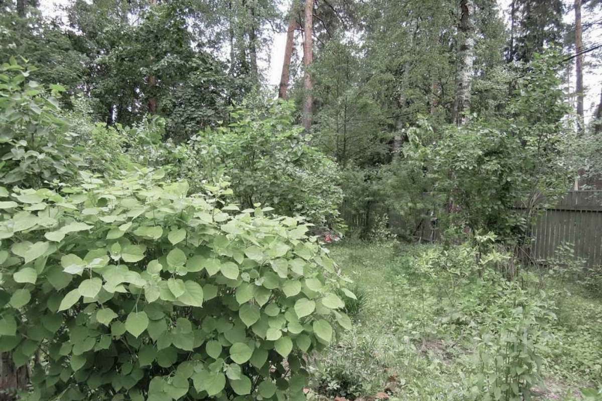 %D0%92%D0%B0%D0%BB%D0%B5%D0%BD%D1%82%D0%B8%D0%BD%D0%BE%D0%B2%D0%BA%D0%B0%20(%D0%93%D0%B0%D0%BB%D0%B8%D0%BD%D0%B0%20%D0%93%D1%80%D0%B8%D0%B3%D0%BE%D1%80%D1%8C%D0%B5%D0%B2%D0%BD%D0%B0)_07 дома 