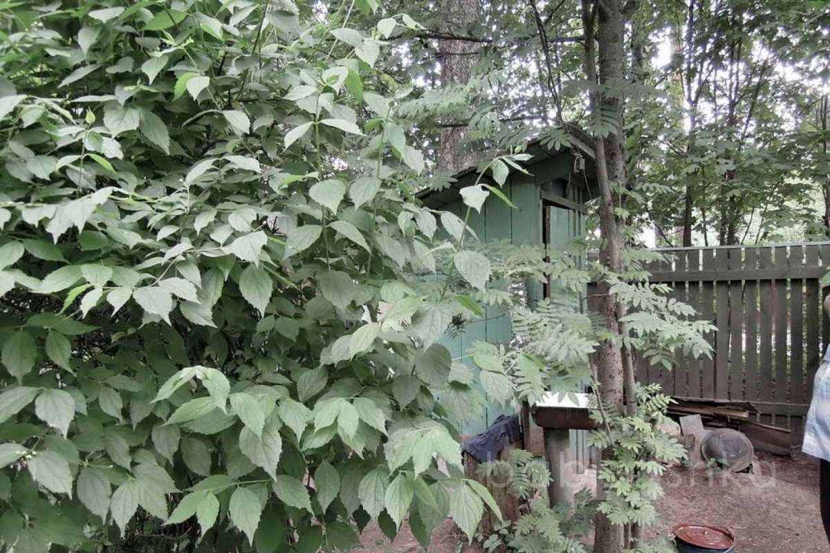 %D0%92%D0%B0%D0%BB%D0%B5%D0%BD%D1%82%D0%B8%D0%BD%D0%BE%D0%B2%D0%BA%D0%B0%20(%D0%93%D0%B0%D0%BB%D0%B8%D0%BD%D0%B0%20%D0%93%D1%80%D0%B8%D0%B3%D0%BE%D1%80%D1%8C%D0%B5%D0%B2%D0%BD%D0%B0)_48 дома 