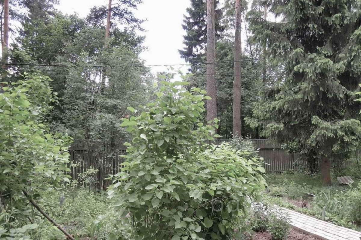 %D0%92%D0%B0%D0%BB%D0%B5%D0%BD%D1%82%D0%B8%D0%BD%D0%BE%D0%B2%D0%BA%D0%B0%20(%D0%93%D0%B0%D0%BB%D0%B8%D0%BD%D0%B0%20%D0%93%D1%80%D0%B8%D0%B3%D0%BE%D1%80%D1%8C%D0%B5%D0%B2%D0%BD%D0%B0)_53 дома 