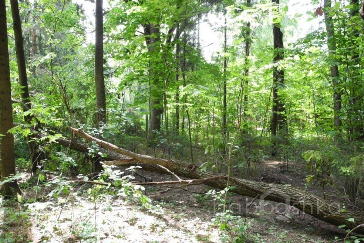 %D0%97%D0%B2%D0%B5%D0%BD%D0%B8%D0%B3%D0%BE%D1%80%D0%BE%D0%B4%20(%D0%9C%D0%B0%D0%BA%D1%81%D0%B8%D0%BC)_15 дома 