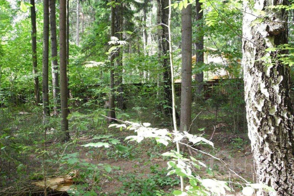 %D0%97%D0%B2%D0%B5%D0%BD%D0%B8%D0%B3%D0%BE%D1%80%D0%BE%D0%B4%20(%D0%9C%D0%B0%D0%BA%D1%81%D0%B8%D0%BC)_16 дома 