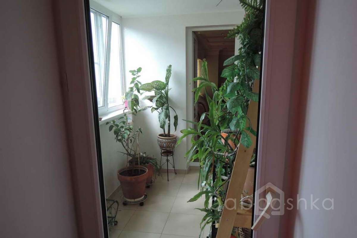 %D0%95%D0%BB%D0%B8%20(%D0%94%D0%BC%D0%B8%D1%82%D1%80%D0%B8%D0%B9)_50 дома 