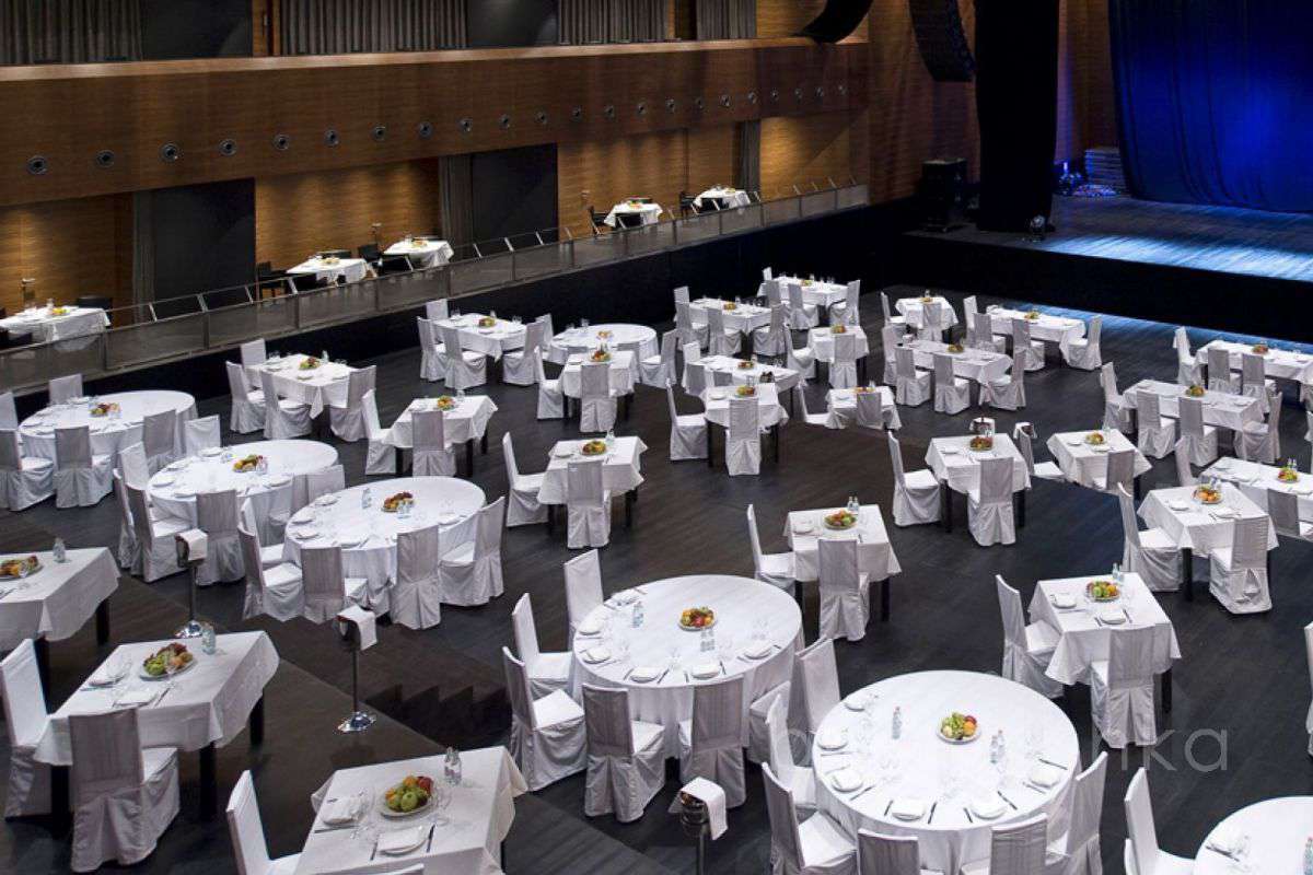 BarvihaNew2 концертные залы 