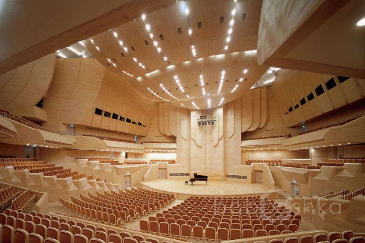 dommuz1 концертные залы 