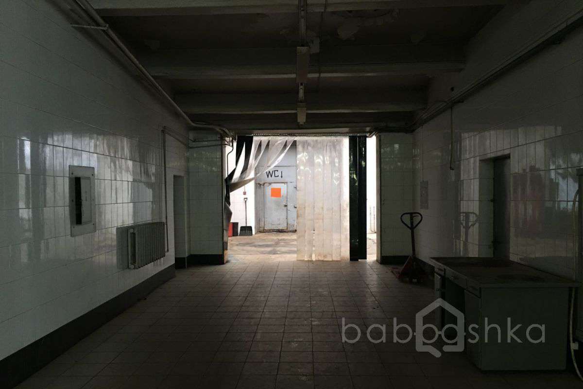 IMG_2384 гаражи 