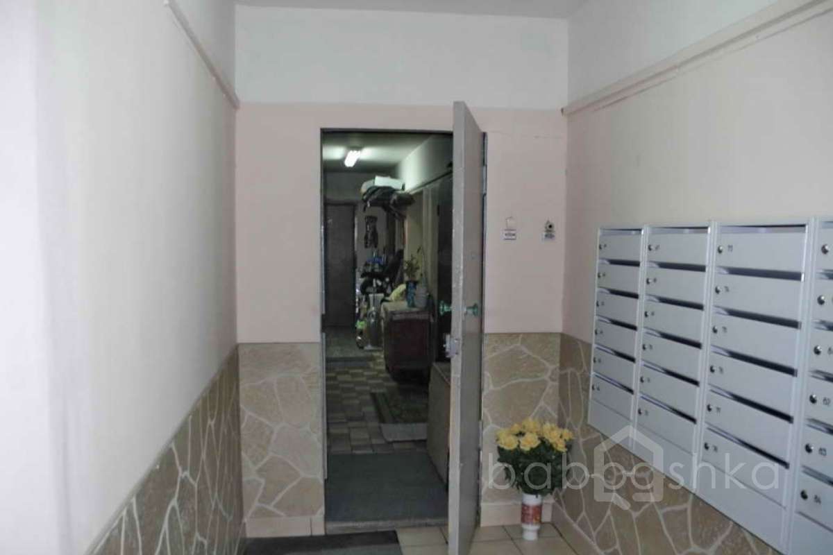 115 подъезды 