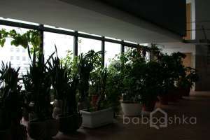 1171 бассейны Съёмки Москва