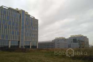 IMG_20171026_122707 территория Съёмки Москва