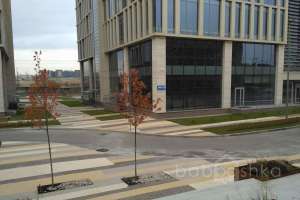 IMG_20171026_124313 территория Съёмки Москва