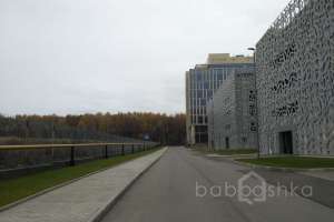 1198 территория Съёмки Москва