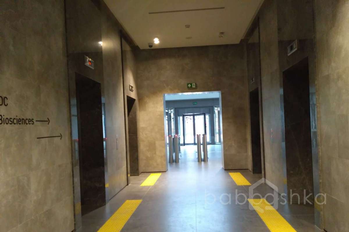 IMG_20171026_123721 холлы 