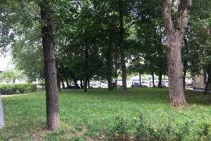 IMG_6961 входные группы Съёмки Москва