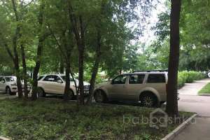 IMG_6955 входные группы Съёмки Москва