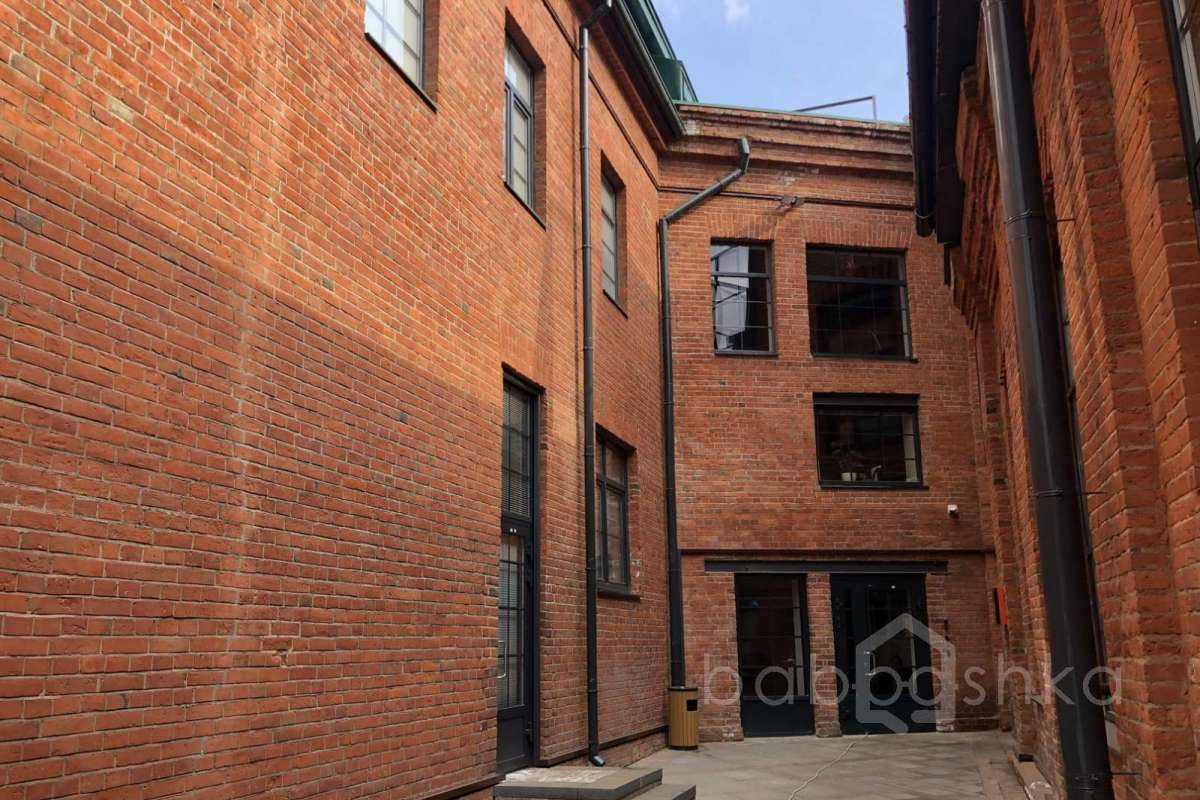 IMG_1055 территория 