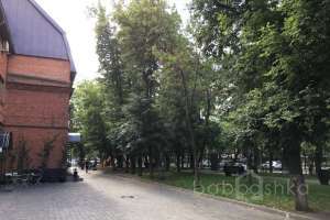 1250 витрины Съёмки Москва