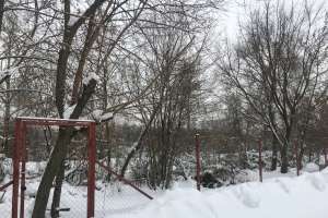 IMG_4055 гаражи Съёмки Москва