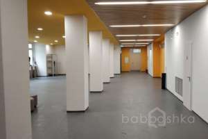 IMG-20190423-WA0002 школы Съёмки Москва