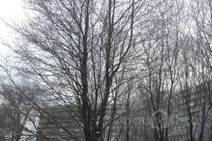 2018-12-18%2014-51-26 жилые комплексы Съёмки Москва