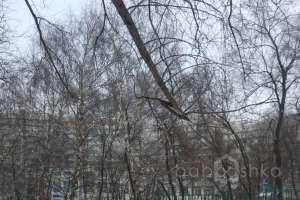 2018-12-18%2015-02-21 жилые комплексы Съёмки Москва