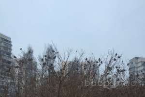 2018-12-18%2015-42-43 жилые комплексы Съёмки Москва