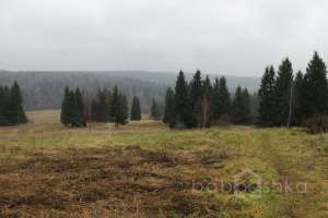 IMG_9141 экстрим Съёмки Москва