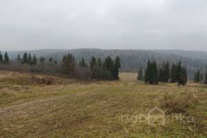 IMG_9140 экстрим Съёмки Москва