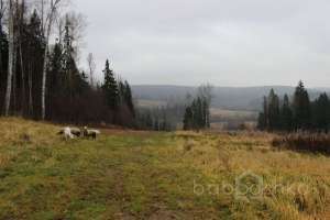 1324 экстрим Съёмки Москва