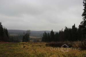 IMG_9166 экстрим Съёмки Москва