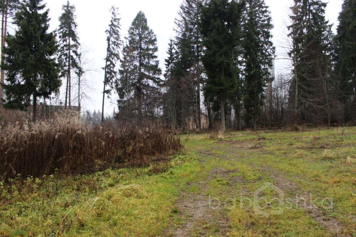 IMG_9163 экстрим 