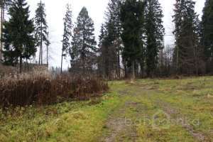 IMG_9163 экстрим Съёмки Москва