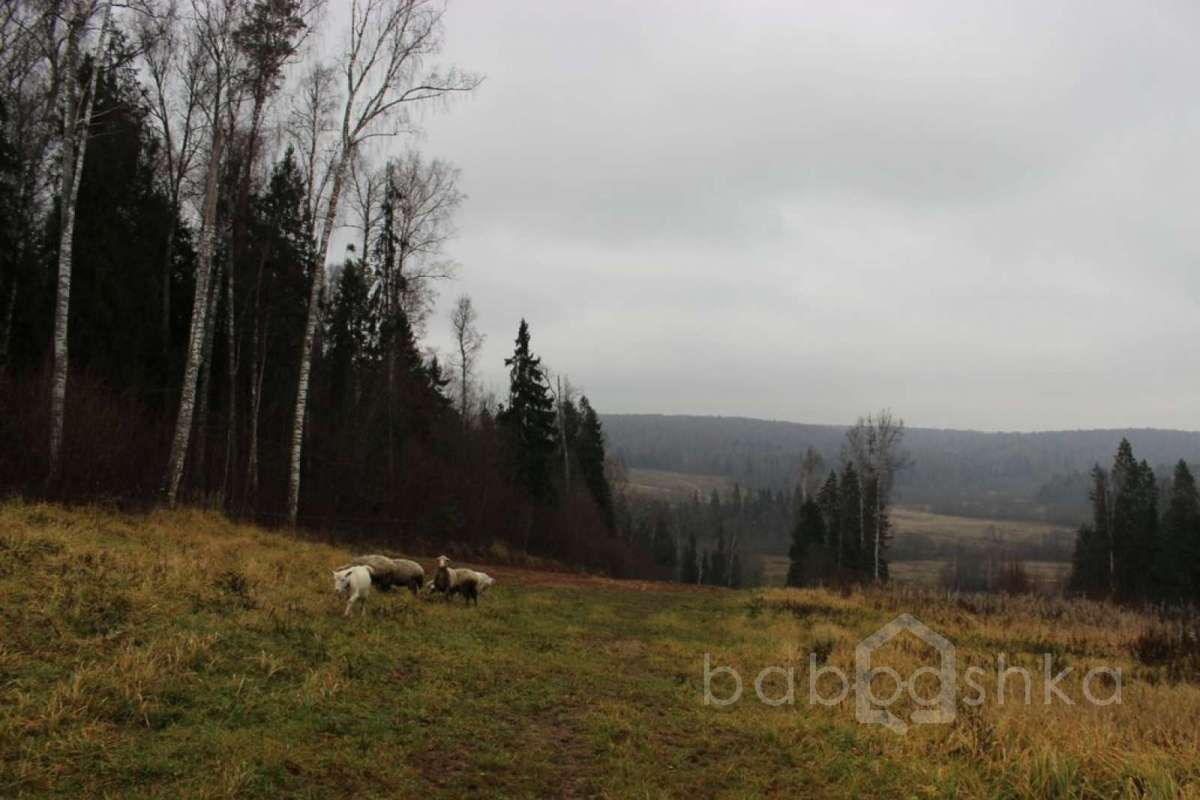 IMG_9167 экстрим 