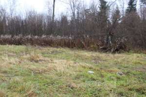 IMG_9161 экстрим Съёмки Москва