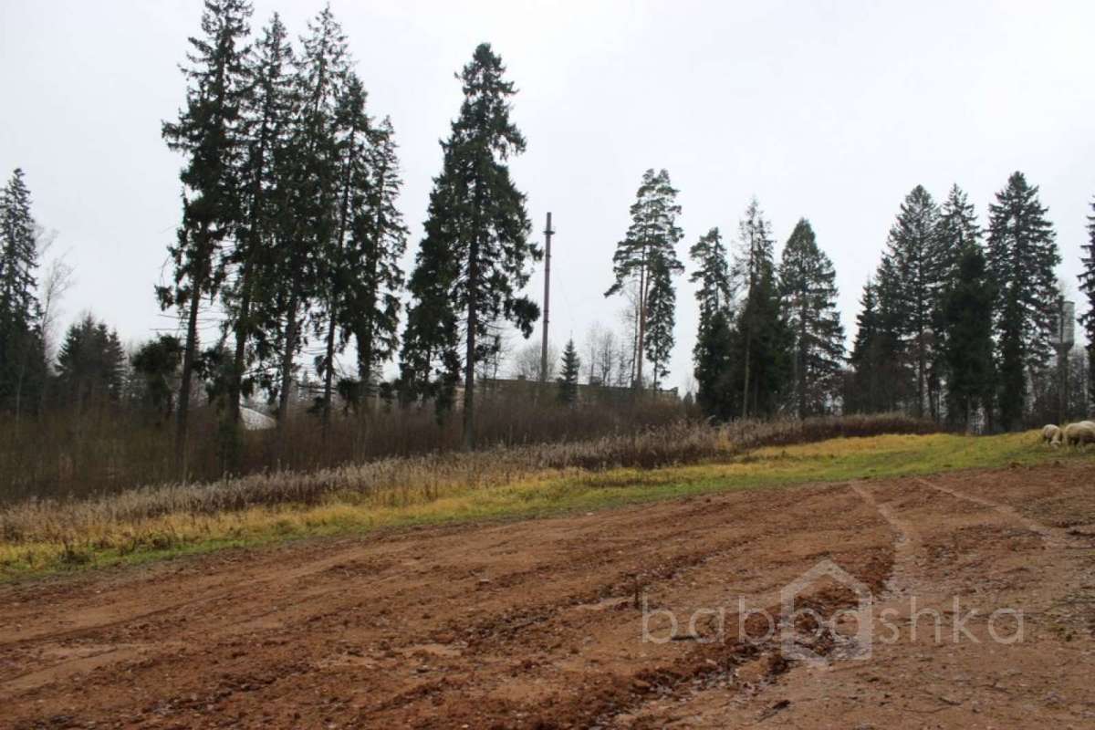 IMG_9173 экстрим 