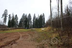 IMG_9174 экстрим Съёмки Москва