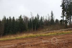 IMG_9172 экстрим Съёмки Москва