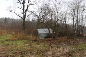 IMG_9038 экстрим Съёмки Москва