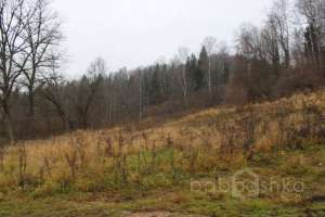 IMG_9043 экстрим Съёмки Москва