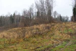 IMG_9044 экстрим Съёмки Москва