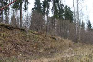 IMG_9048 экстрим Съёмки Москва