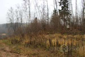 IMG_9050 экстрим Съёмки Москва