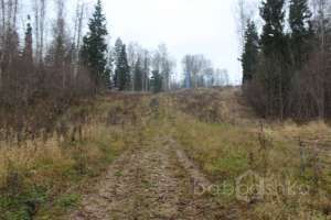 IMG_9054 экстрим Съёмки Москва